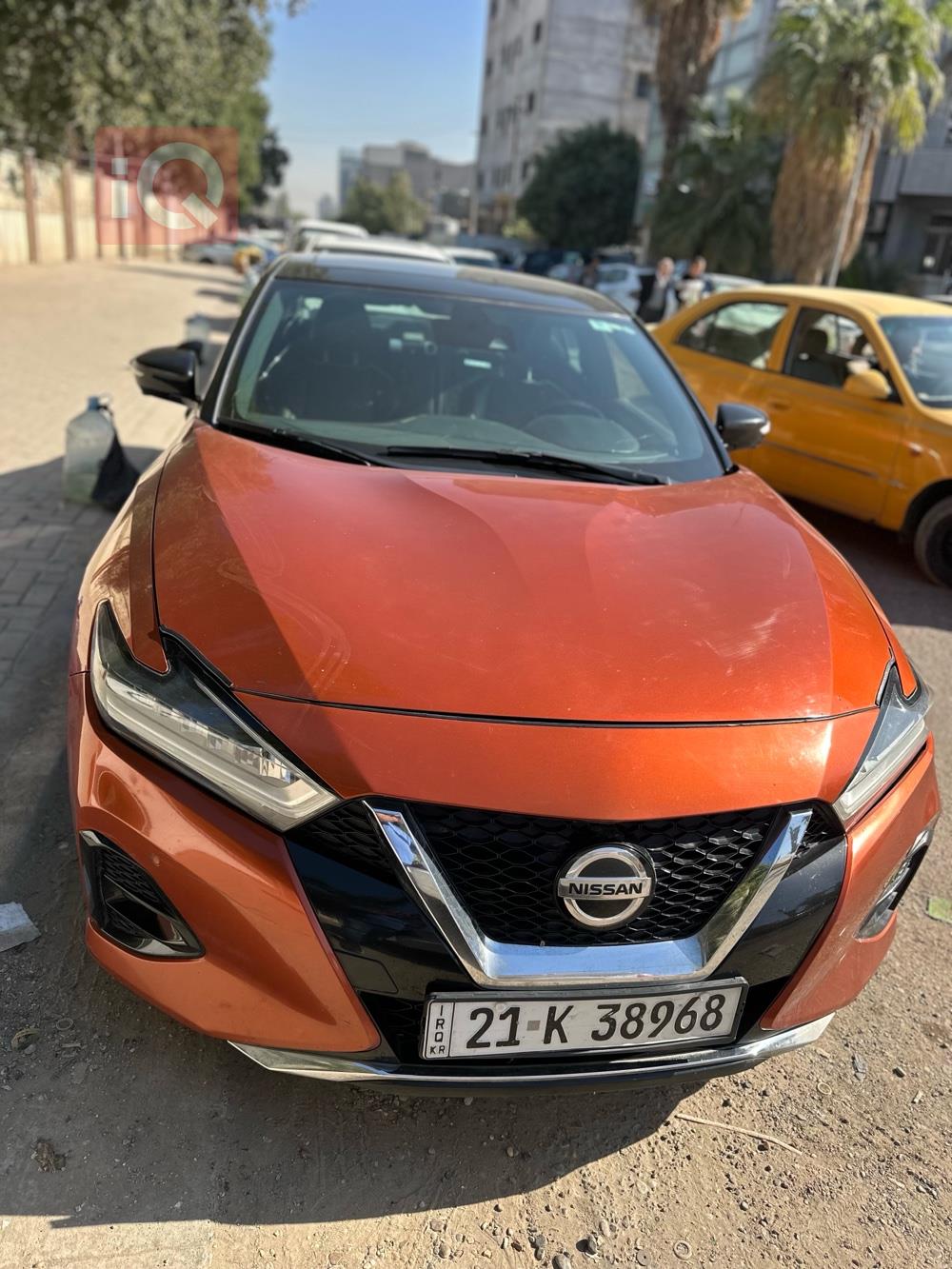 نيسان ماكسيما